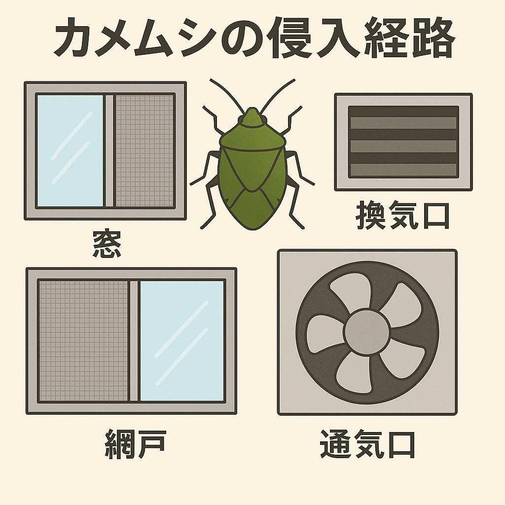 カメムシ侵入経路